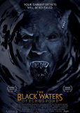 Черные воды Эха