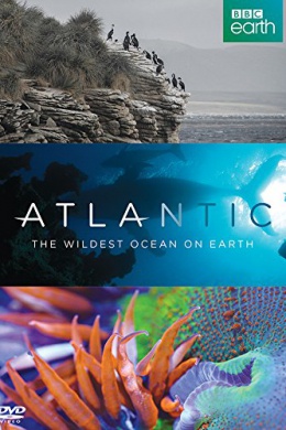 Atlantic: The Wildest Ocean on Earth (многосерийный)
