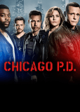 Полиция Чикаго (сериал)