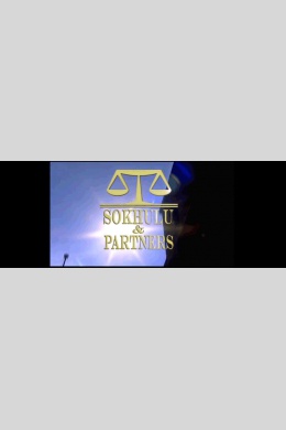 Sokhulu and Partners II (сериал)