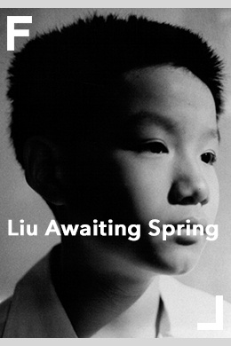 Лю в ожидании весны