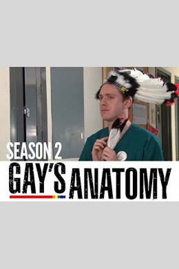 Gays Anatomy (сериал)
