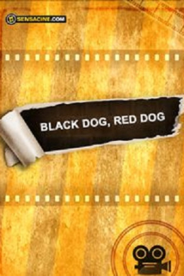 Чёрный пёс, рыжий пёс