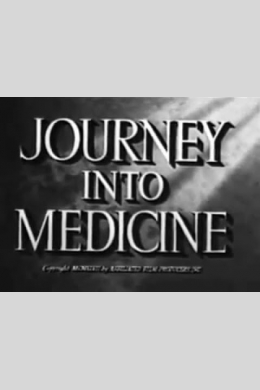 Journey Into Medicine