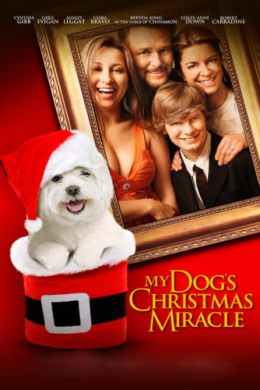 My Dog&#039;s Christmas Miracle