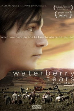 Waterberry Tears