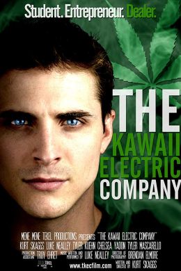 The Kawaii Electric Company