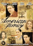 Американская семья (сериал)