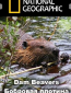 National Geographic: Бобровая плотина