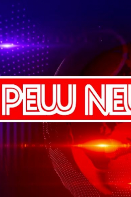 Pew News (сериал)