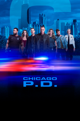 Полиция Чикаго (сериал)