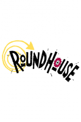 Roundhouse (сериал)