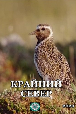 Крайний север