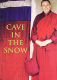 Cave in the Snow