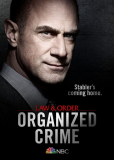 Закон и порядок: Организованная преступность (сериал)