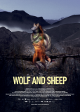 Волк и овца