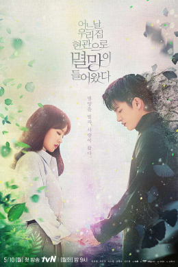 Разрушение к вашим услугам (сериал)