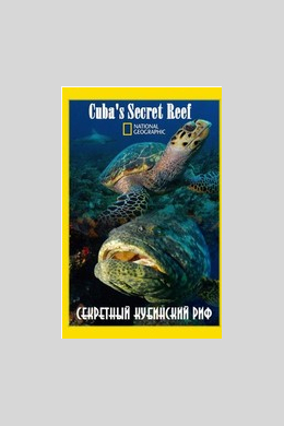Секретный кубинский риф