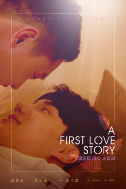История первой любви (многосерийный)
