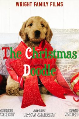 The Christmas Doodle