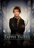 Гарри Уайлд (сериал)