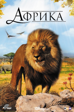 Faszination Afrika 3D