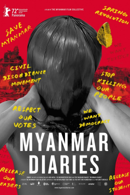 Дневники Мьянмы