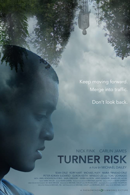 Turner Risk