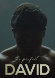 Идеальный Давид