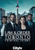 Закон и порядок Торонто: Преступные намерения (сериал)