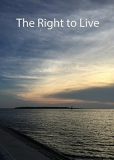 Право на жизнь