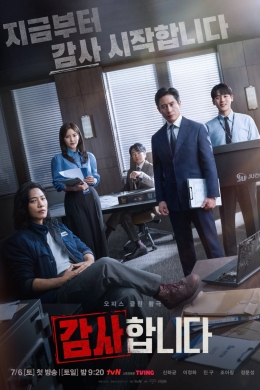 Аудиторы (сериал)