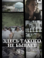 Здесь такого не бывает (сериал)