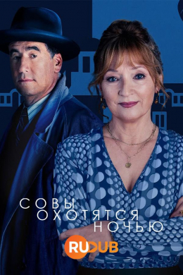 Совы охотятся ночью (сериал)