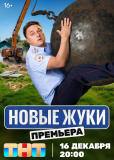 Жуки (сериал)