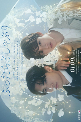 Когда идёт дождь, льёт как из ведра (многосерийный)