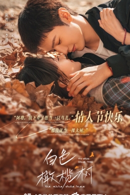 Белое оливковое дерево (сериал)