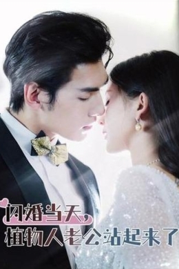 Замужем за тайным магнатом (сериал)