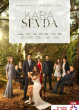 Чёрная любовь (сериал)