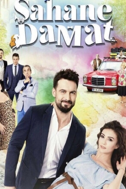 Замечательный зять (сериал)