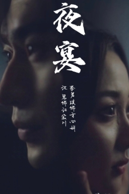 Ночной банкет (сериал)