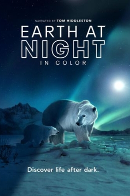 Земля ночью в цвете (сериал)
