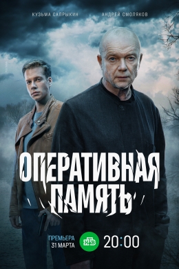 Оперативная память (сериал)