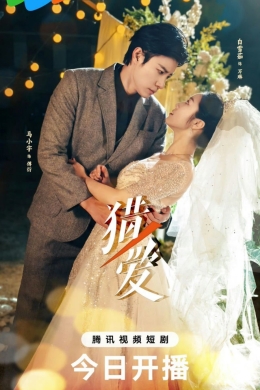 Охота за любовью (сериал)