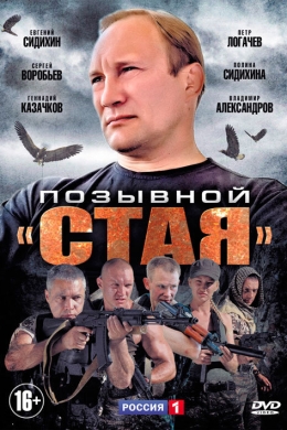Позывной «Стая» (сериал)