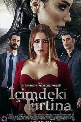 Буря внутри меня (сериал)