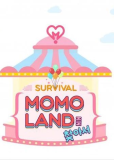 Finding Momoland (сериал)