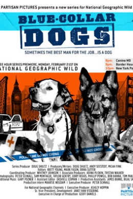 Собаки на службе (сериал)