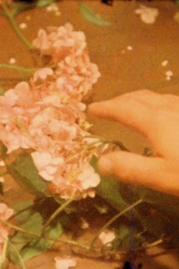 Кровь, похоть и смерть, часть I: Психея