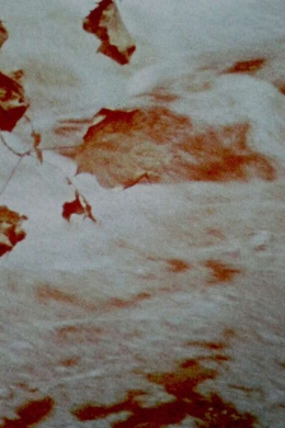 Кровь, похоть и смерть, часть III: Шармидес